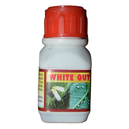 WHITE OUT