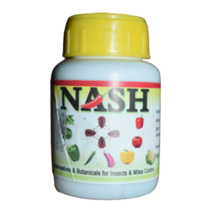 ZYME PLUS (NASH)