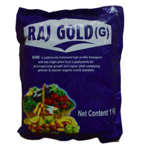 RAJ GOLD