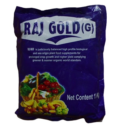 RAJ GOLD