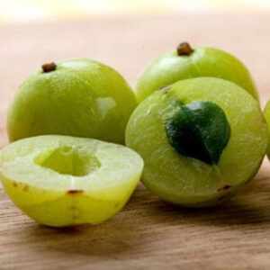 Amla Tree (Indian Gooseberry)